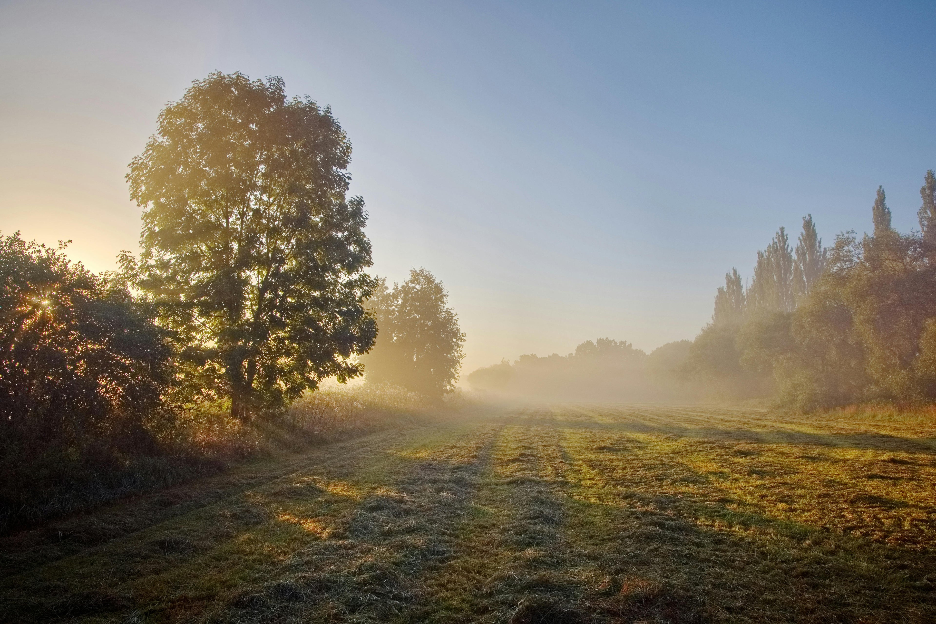 早朝撮影